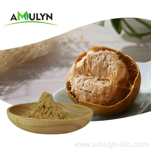 20%-95% Mogroside V Sweetener Monk Fruit Extract Powder